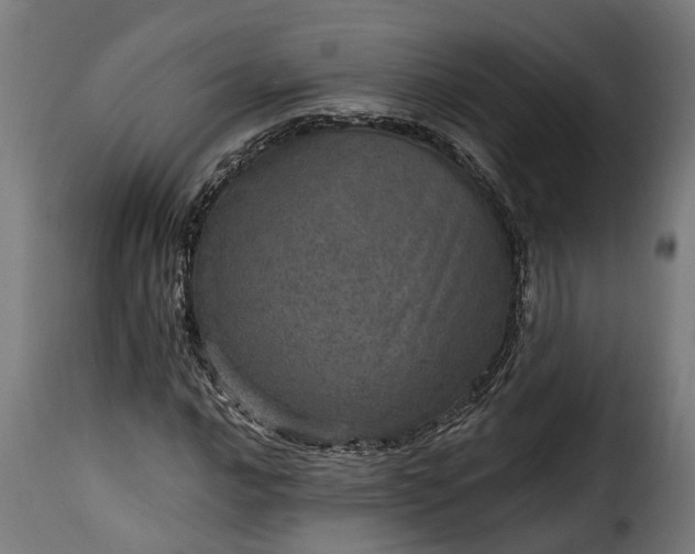 X0000115651016200911241729