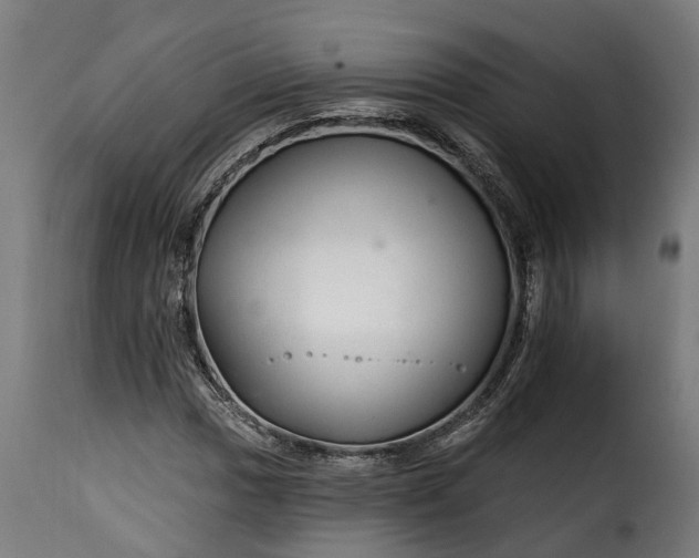 X0000115651017200911241729