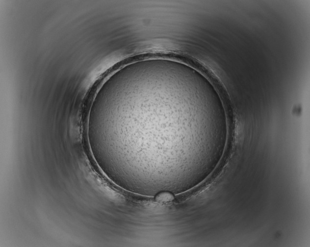 X0000115651018200911241729