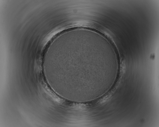 X0000115651019200911241729