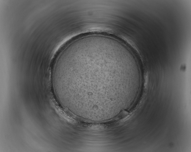 X0000115651021200911241729