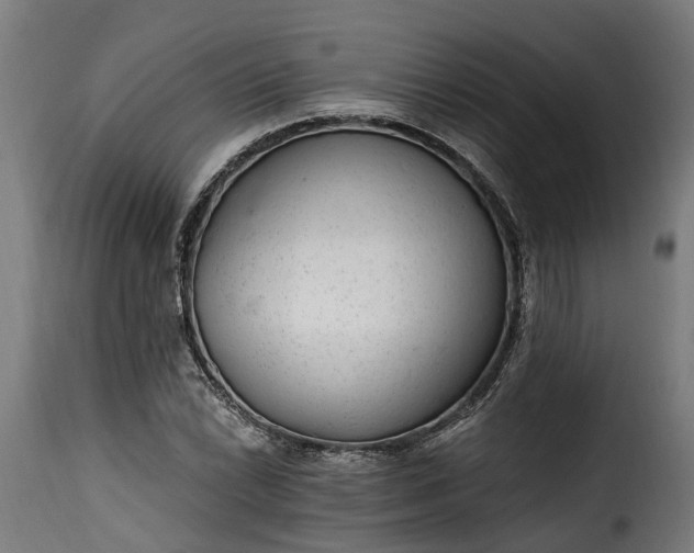 X0000115651022200911241729