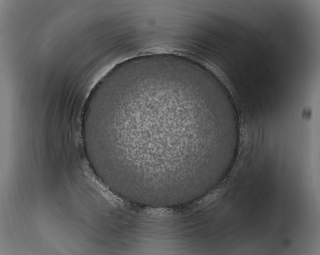 X0000115651023200911241729