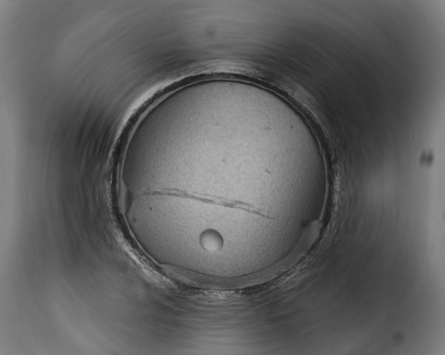 X0000115651024200911241729