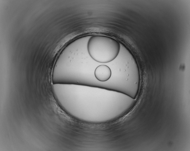 X0000115651025200911241729