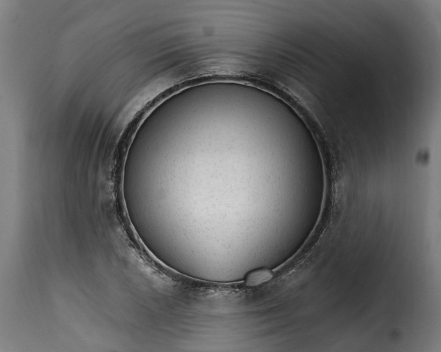 X0000115651026200911241729