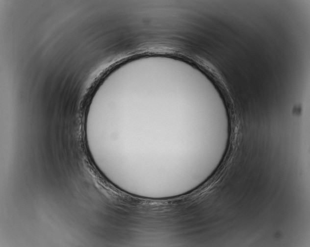 X0000115651027200911241729