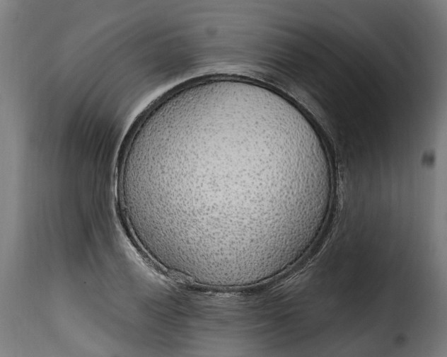 X0000115651028200911241729