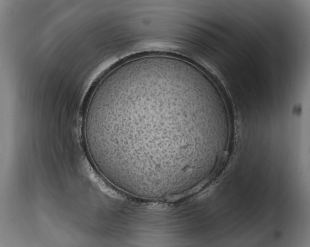 X0000115651029200911241729