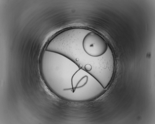 X0000115651030200911241729