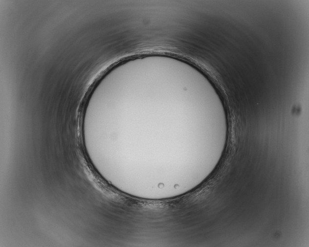 X0000115651031200911241729