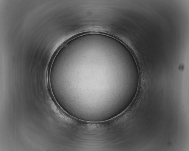 X0000115651032200911241729