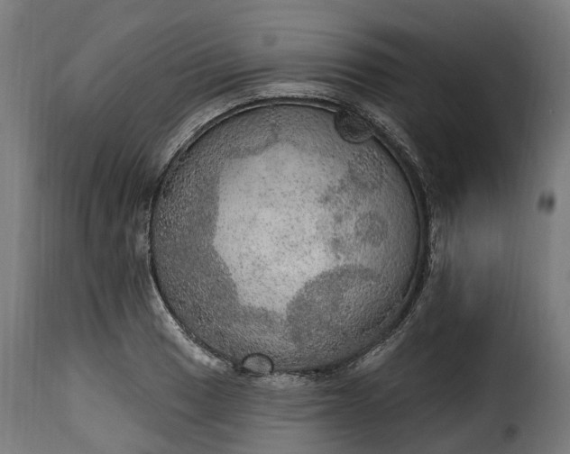 X0000115651033200911241729