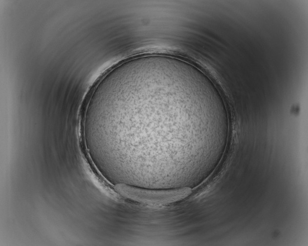 X0000115651034200911241729