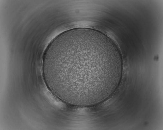 X0000115651035200911241729