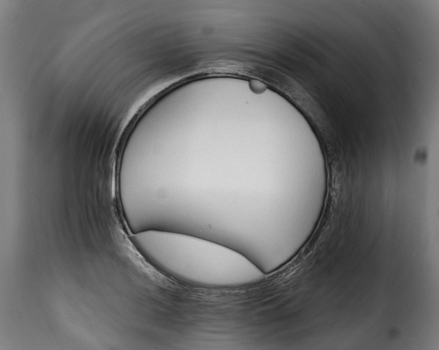 X0000115651036200911241729