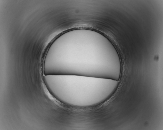 X0000115651038200911241729