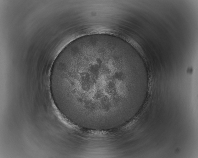 X0000115651039200911241729