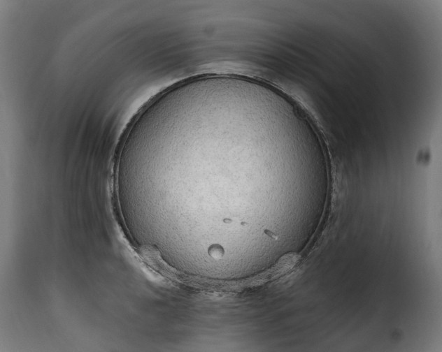 X0000115651040200911241729