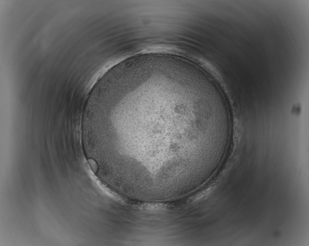 X0000115651041200911241729