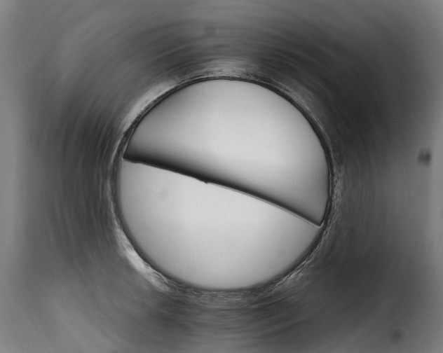 X0000115651042200911241729