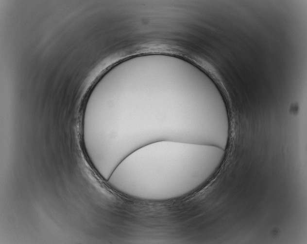 X0000115651043200911241729