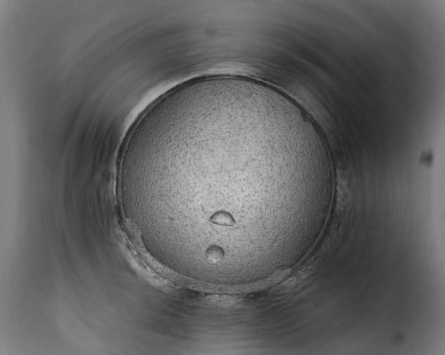 X0000115651044200911241729