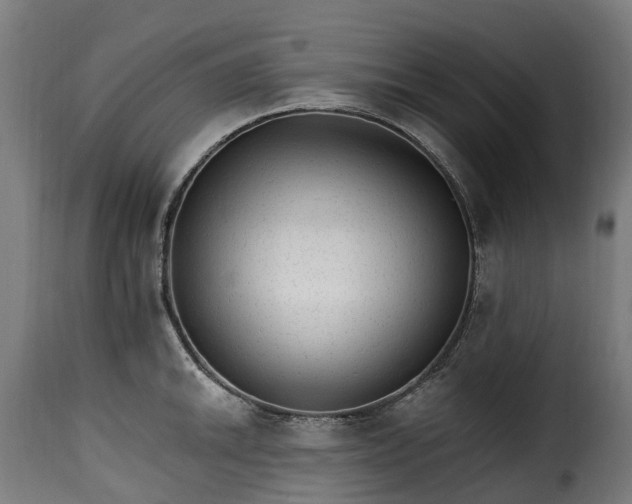 X0000115651046200911241729