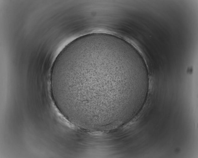 X0000115651048200911241729