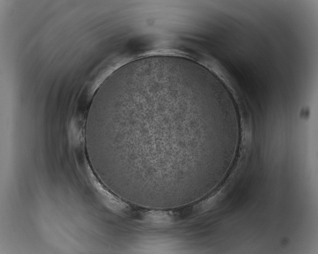 X0000115651049200911241729