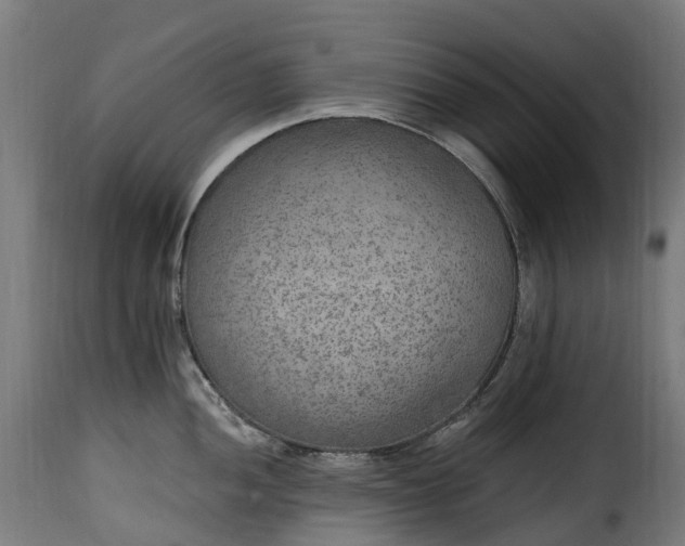 X0000115651052200911241729