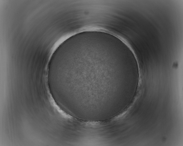 X0000115651053200911241729