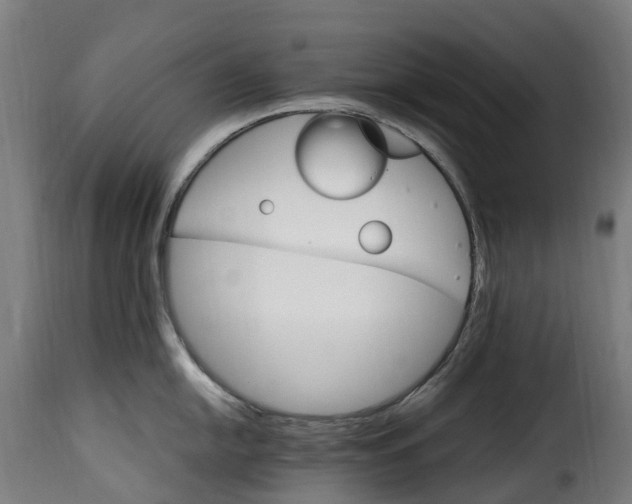 X0000115651054200911241729