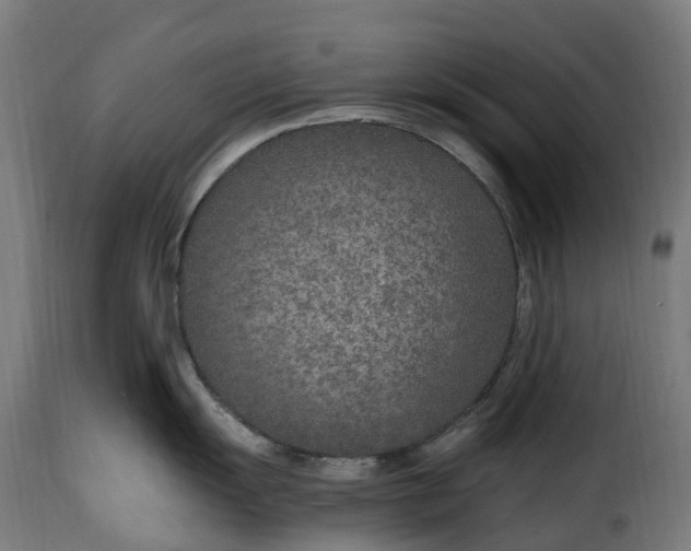 X0000115651055200911241729