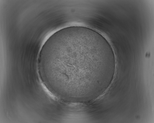 X0000115651056200911241729