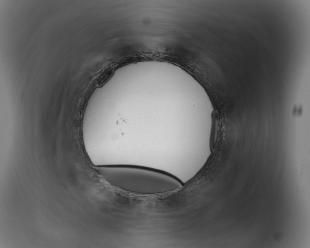 X0000115651057200911241729