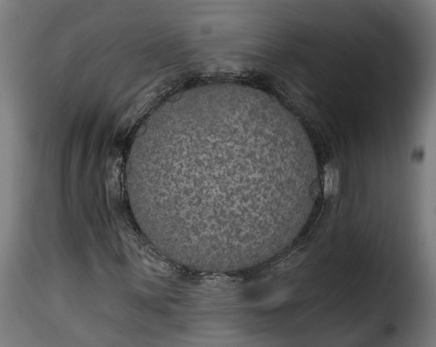 X0000115651059200911241729