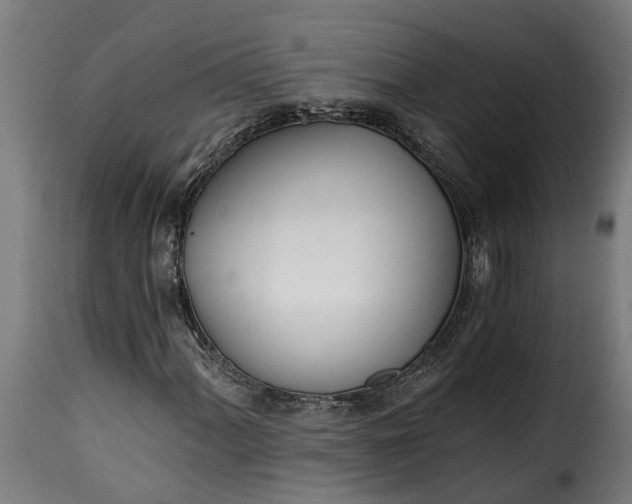 X0000115651060200911241729