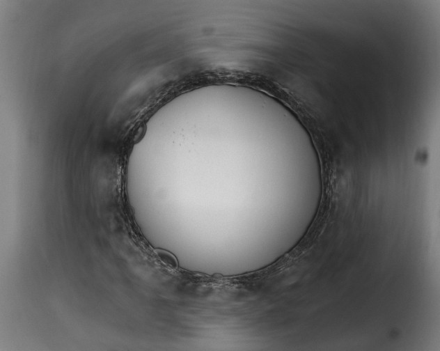 X0000115651061200911241729