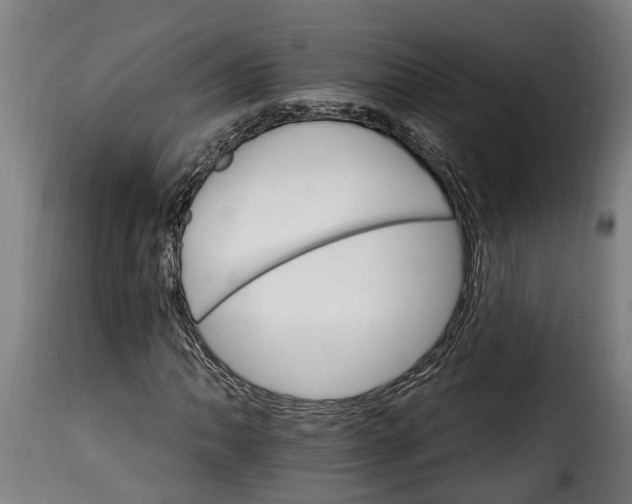 X0000115651062200911241729