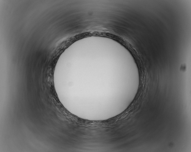 X0000115651063200911241729