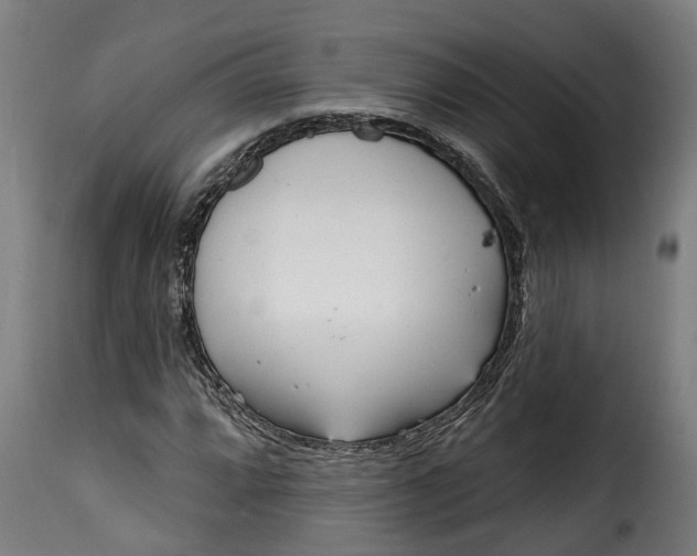 X0000115651064200911241729