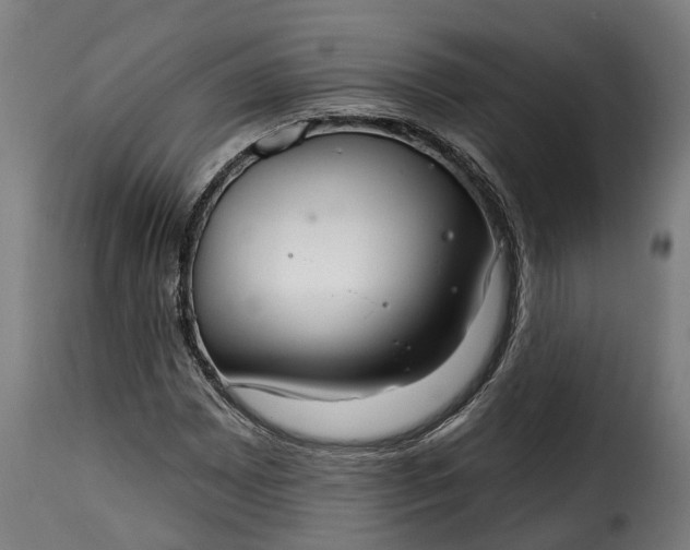 X0000115651065200911241729