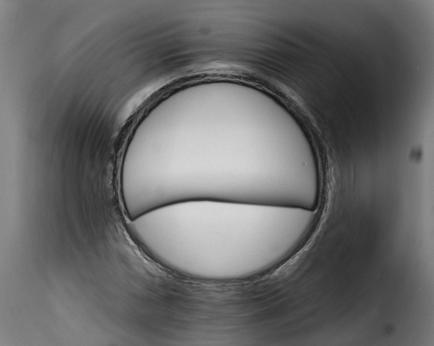 X0000115651066200911241729