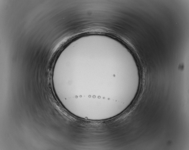 X0000115651067200911241729