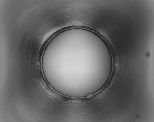 X0000115651070200911241729