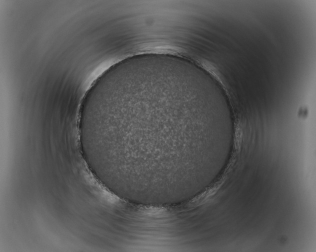 X0000115651071200911241729