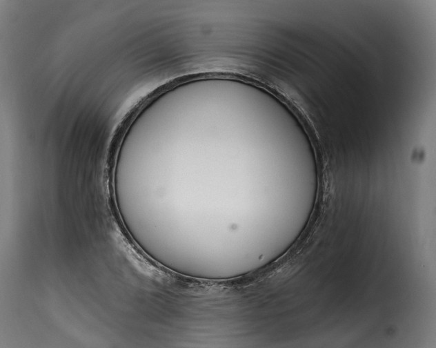 X0000115651072200911241729