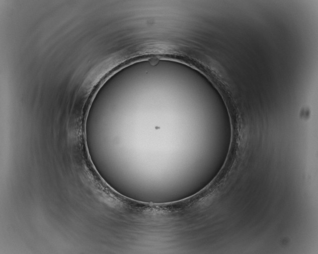 X0000115651073200911241729