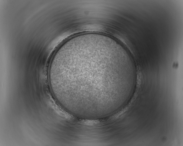 X0000115651074200911241728